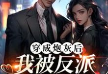 穿成炮灰后,我被反派夫人拉黑了小说无弹窗阅读的网站推荐-乐读文学