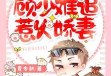 在线搜索苏若夏顾南柯的完整小说,免费阅读一胎两宝:顾少难追惹火娇妻-乐读文学