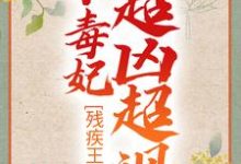 残疾王爷的小毒妃超凶超飒 冷潇南宫翼天在线章节免费阅读-乐读文学