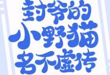 已完结小说《悄然情深:封爷的小野猫名不虚传》章节在线阅读-乐读文学