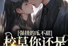 小说《强扭的瓜不甜,校草你还是洗洗睡吧》章节免费阅读-乐读文学