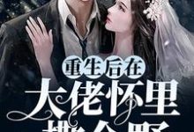 重生后在大佬怀里撒个野沈辞墨尘渊小说在线章节免费阅读-乐读文学