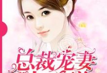 秦安安贺景庭的小说在哪里看?免费在线阅读总裁宠妻太霸道-乐读文学