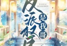 主人公叫齐妙沈韵安的小说哪里免费看-乐读文学