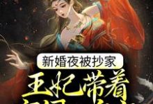 新婚夜被抄家,王妃带着空间入皇宫免费阅读,新婚夜被抄家,王妃带着空间入皇宫章节目录-乐读文学