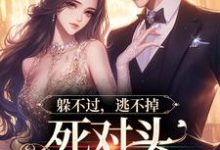 《躲不过,逃不掉,死对头顶级诱宠》小说章节在线试读,《躲不过,逃不掉,死对头顶级诱宠》最新章节目录-乐读文学