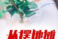 陈力林曼为主角的小说从摆地摊开始崛起在线阅读-乐读文学