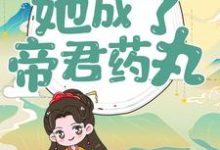 主人公叫楼柒沉煞陈十轩辕战的小说穿越后,她成了帝君药丸在线阅读章节-乐读文学