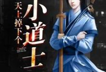 已完结小说《天上掉下个小道士》章节在线阅读-乐读文学