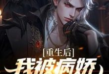 哪里能找到重生后,我被病娇女霸气壁咚小说的全部章节?-乐读文学