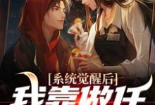 主角秦峰小说系统觉醒后,我靠做任务换奖励免费阅读-乐读文学