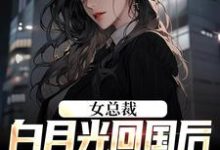 女总裁白月光回国后,我选择离小说的免费电子版在哪里可以下载或阅读?-乐读文学
