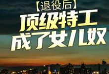 退役后,顶级特工成了女儿奴小说有没有完结版在线?-乐读文学
