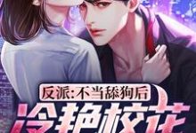 免费阅读陈北渊为主角的小说,反派:不当舔狗后,冷艳校花急哭了在线看-乐读文学