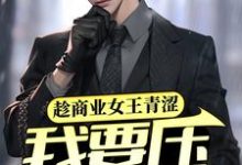 小说《趁商业女王青涩,我要压她一筹!》章节免费阅读-乐读文学