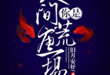 男女主人公叫陆清野穆镜迟的小说免费资源-乐读文学