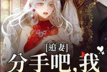 谈祈深颜缦为主角的小说叫什么?免费看追妻:分手吧,我不哄你了-乐读文学