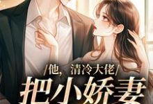 他,清冷大佬,把小娇妻宠成宝小说有没有完结版在线?-乐读文学