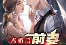 陈江唐幼楚小说在线章节免费阅读(离婚后,前妻跪求原谅无弹窗无删减)-乐读文学