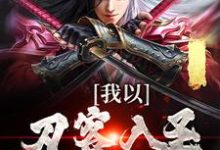小说《我以刀客入圣,镇压诸天!》在线章节阅读-乐读文学