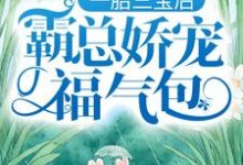 一胎三宝后,霸总娇宠福气包最新章节,一胎三宝后,霸总娇宠福气包免费阅读-乐读文学