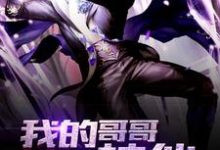 我的哥哥是神仙这本小说在哪里可以看?哪里有免费试读章节?-乐读文学