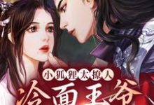 完整版的小狐狸太撩人,冷面王爷笑着宠小说在哪里可以免费读到?-乐读文学