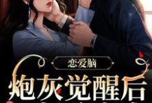 《恋爱脑炮灰觉醒后,只想分家产》小说主角温以嫀陆循章节章节免费在线阅读-乐读文学