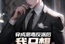 穿成恶毒反派后,我只想离婚保平安祝天凡冷冰凝小说在线章节免费阅读-乐读文学