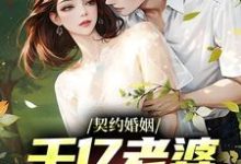 已完结小说《契约婚姻:千亿老婆太撩人》章节在线阅读-乐读文学