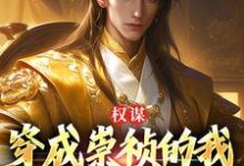 权谋:穿成崇祯的我逆天改命了崇祯,权谋:穿成崇祯的我逆天改命了最新章节-乐读文学