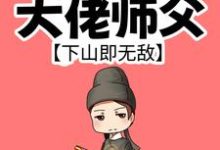 叶北辰小说我有99个大佬师父,下山即无敌在线阅读章节-乐读文学