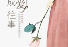 当爱已成往事小说的免费电子版在哪里可以下载或阅读?-乐读文学