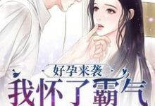 已完结小说《好孕来袭：我怀了霸气军官的崽子》章节在线阅读-乐读文学