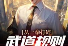 从一拳打碎武道规则开始无敌小说,从一拳打碎武道规则开始无敌章节在线阅读-乐读文学