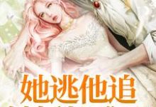 她逃他追，她插翅难飞小说完结了吗？在哪里可以免费读到？-乐读文学