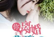 哪里可以免费找到你离婚,我娶你?-乐读文学