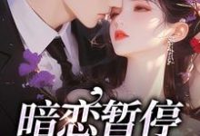 暗恋暂停,开始恋爱小说完结了吗?在哪里可以免费读到?-乐读文学