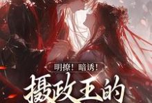明撩!暗诱!摄政王的外室不好当小说有没有完整的免费版本在线阅读?-乐读文学