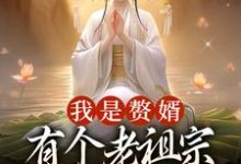 我是赘婿,有个老祖宗娘子很合理吧这本小说怎么样?免费在线阅读试试-乐读文学
