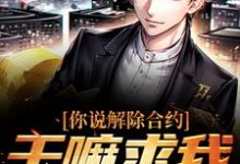 哪里能找到你说解除合约,干嘛求我回去小说的最新更新和免费章节?-乐读文学