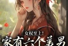 言卿江家六兄弟小说《女权至上!家有六个美男是什么体验》在线阅读-乐读文学
