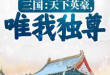 三国:天下英豪,唯我独尊!李元,三国:天下英豪,唯我独尊!章节在线阅读-乐读文学