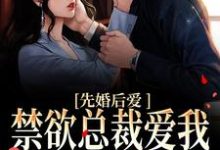 求先婚后爱:禁欲总裁爱我到无法自拔小说免费资源-乐读文学