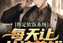 绑定软饭系统,每天让女神花钱(陈启)在线免费阅读-乐读文学