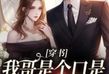 《穿书:我哥是个口是心非的大妹控》小说沈诺章节章节免费在线阅读-乐读文学