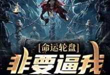 《命运轮盘:非要逼我人前显圣》全集免费在线阅读(肖牧叶秋嫙)-乐读文学