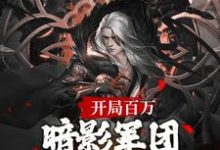 寻找开局百万暗影军团!缔造不朽帝朝小说的最新更新章节-乐读文学