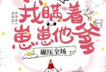 豪门团宠:我瞒着崽崽他爹,碾压全场!小说的免费电子版在哪里可以下载或阅读?-乐读文学