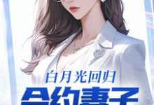 完整版的白月光回归,合约妻子和我离婚了小说在哪里可以免费读到?-乐读文学